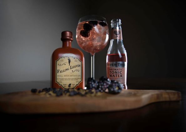 a bottle of fallen leaves ginwith a gin and tonic