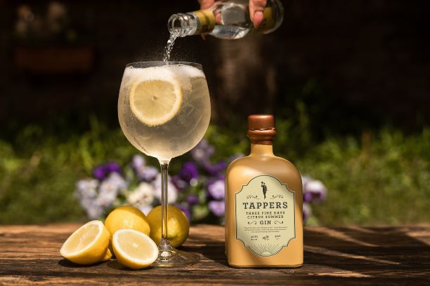 a bottle of gin on a table with a gin and tonic and cut citrus on a table in the garden