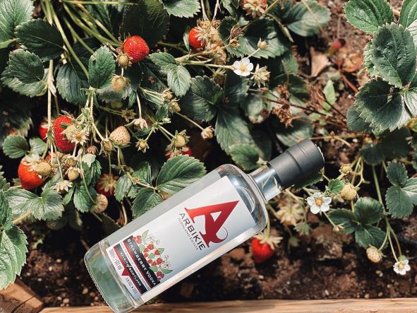 a bottle of strawberry vodka nestled amongst strawberry plants with red fruit