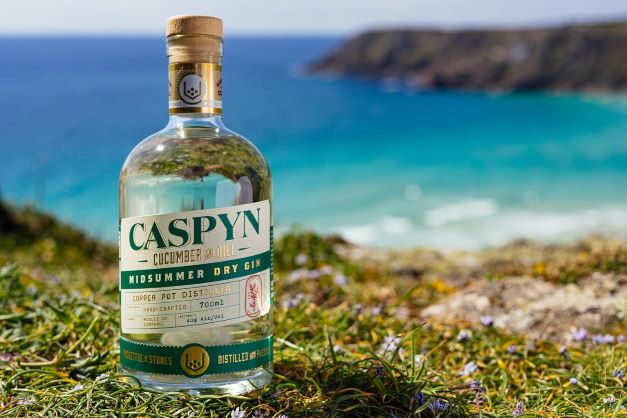 A BOTTLE OF GIN SITTING ON GRASS ON TE CORNISH HEADLAND OVERLOOKING THE SEA