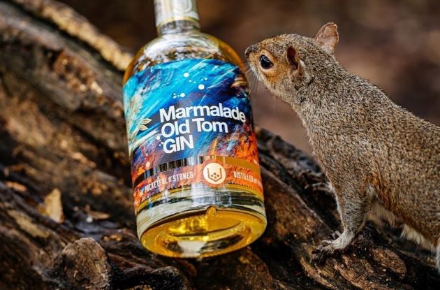 A BOTTLE OF MARMALADE OLD TOM AND A COCKTAIL IN A WOODLAND SETTING WITH A SQUIRREL