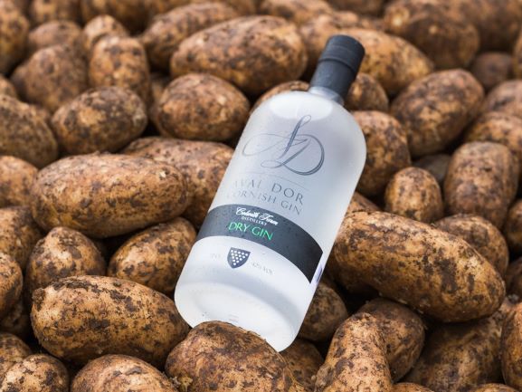 A BOTTLE OF CORNISH GIN LAYING ON A PILE OF POTATOES
