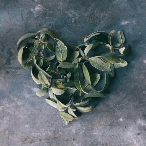 a heart made of sage leaves on a wooden table