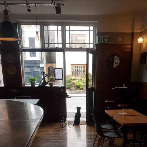 inside of a bar looking out onto the street with a dog sitting in the door way